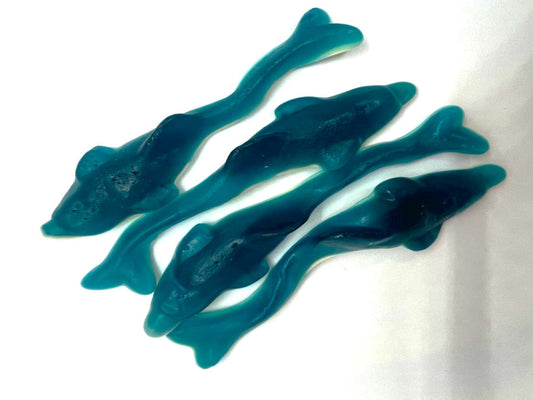 Dauphin xxl