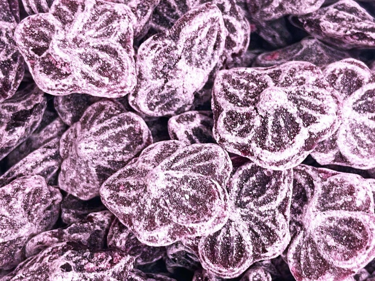 Violettes