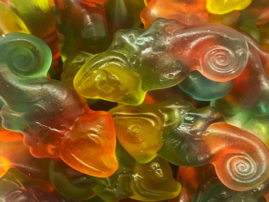 Caméléons